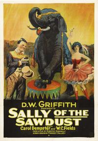 D.W. Griffith Sally Of The Sawdust Movie Poster