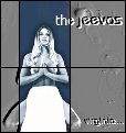 jeevas virginia