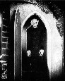 nosferatu