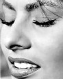 sophia loren