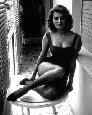 sophia loren