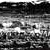 ansel adams