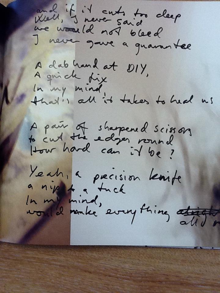 Payne's Gray Detail 4