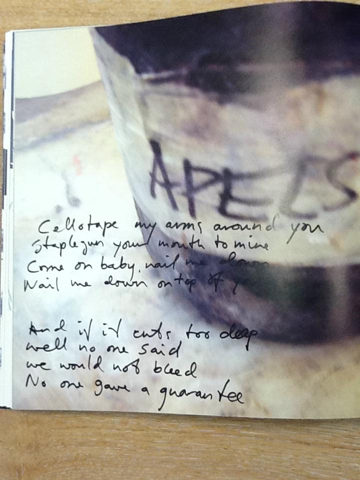 Payne's Gray Detail 5