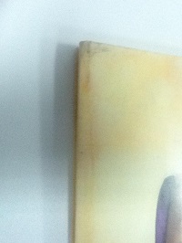 David Sylvian Trophies The Lyrics of David Sylvian Paperback Book