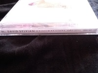 David Sylvian Victim of Stars 2 CD Set