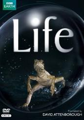 david attenborough life dvd
