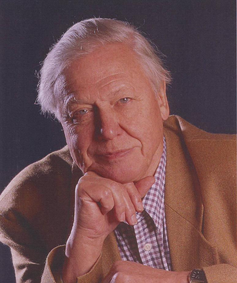 david attenborough