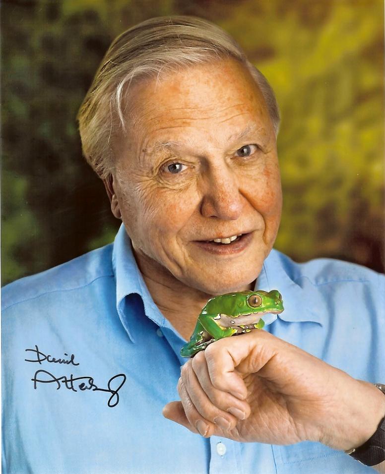 david attenborough