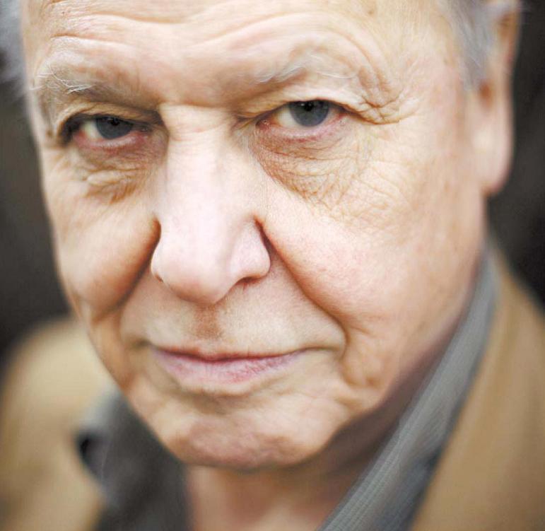 david attenborough