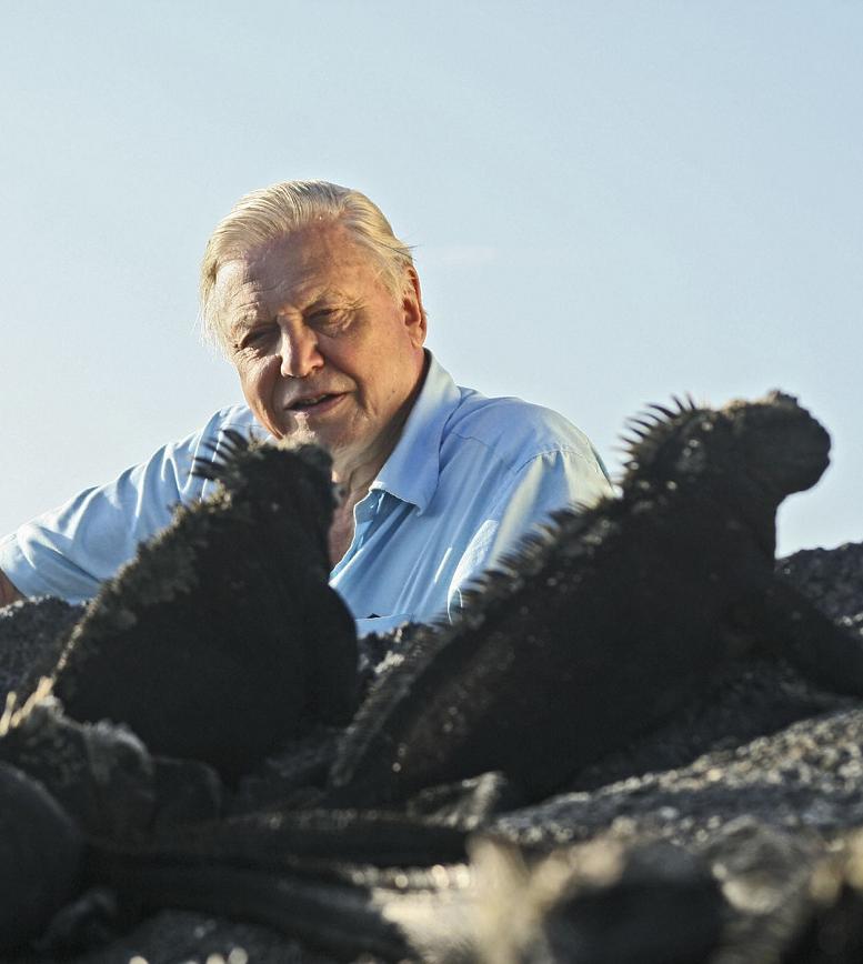 david attenborough