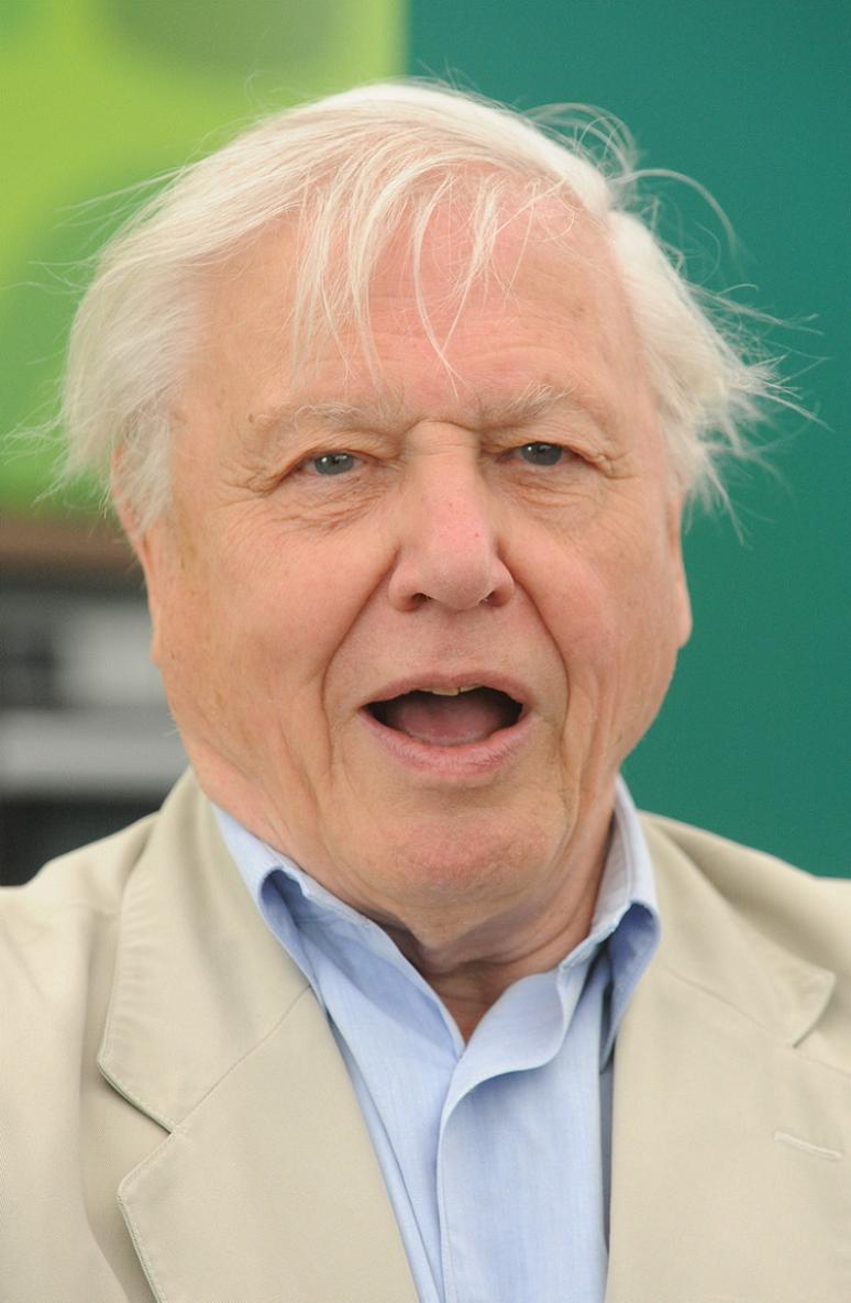 david attenborough