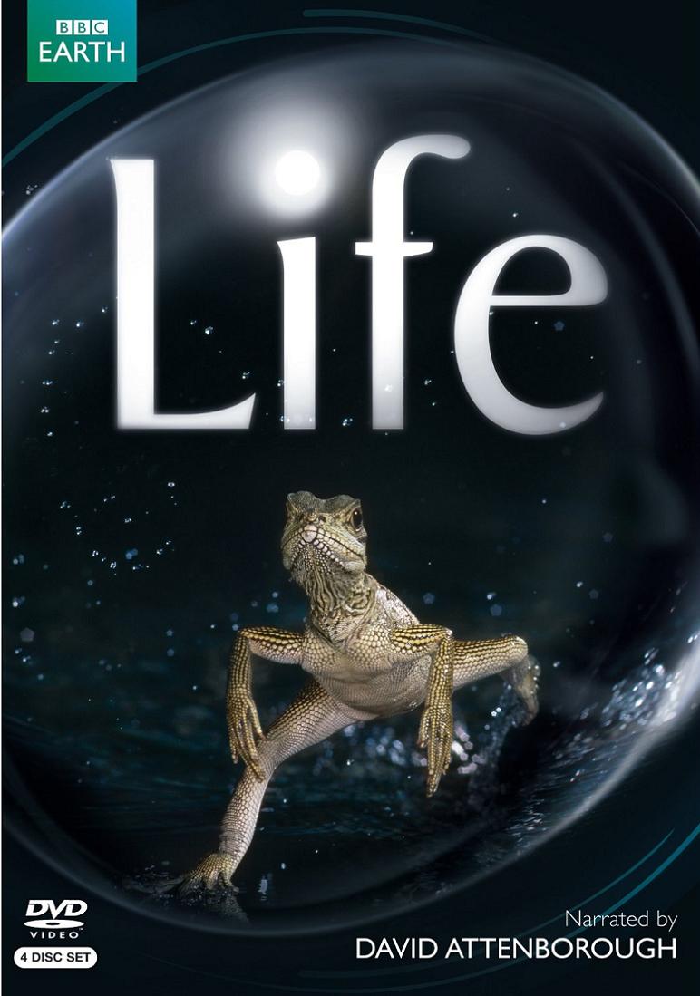 david attenborough