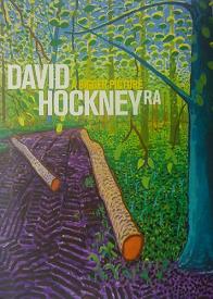 david hockney a bigger picture postcard book