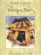 /picts/david sylvian perspectives book