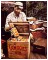 bogart