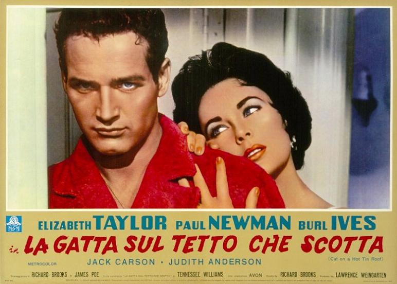 Elizabeth Taylor Cat On a Hot Tin Roof Movie Reproduction Poster