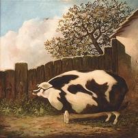 English School A Sow in a Farmyard Large Canvas Print