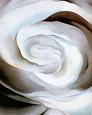 Abstraction White Rose, 1927
by Georgia O'Keeffe