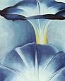 Blue Morning Glories
by Georgia O'Keeffe
