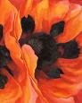 Oriental Poppies, 1928
by Georgia O'Keeffe
