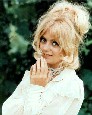 goldie hawn