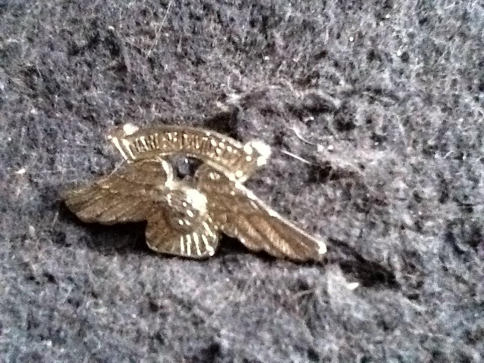 Harley-Davidson - 1980s vintage Eagle Metal Badge