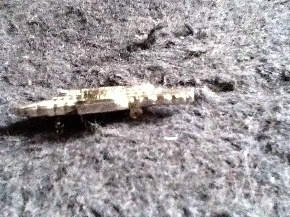 Harley-Davidson - 1980s vintage Eagle Metal Badge