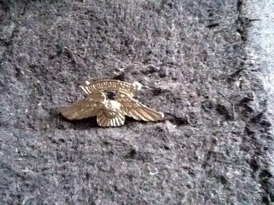 Harley-Davidson 1980s vintage Eagle Metal Badge