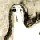 henry moore / drawing for a figure