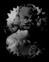 Beauty and the Beast