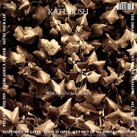 Kate Bush The Dreaming LP, Album, Reissue, Remastered, 180g