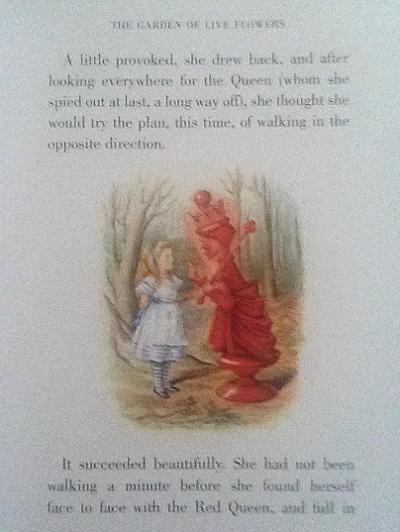 Lewis Carroll Looking Glass Illustrated Book