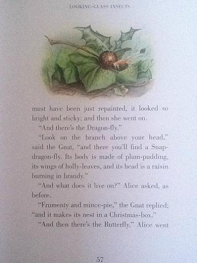 Lewis Carroll Looking Glass Illustrated Book