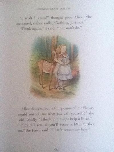 Lewis Carroll Looking Glass Illustrated Book