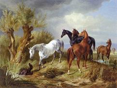 A Albrecht Thoroughbreds in a Pasture Canvas Print