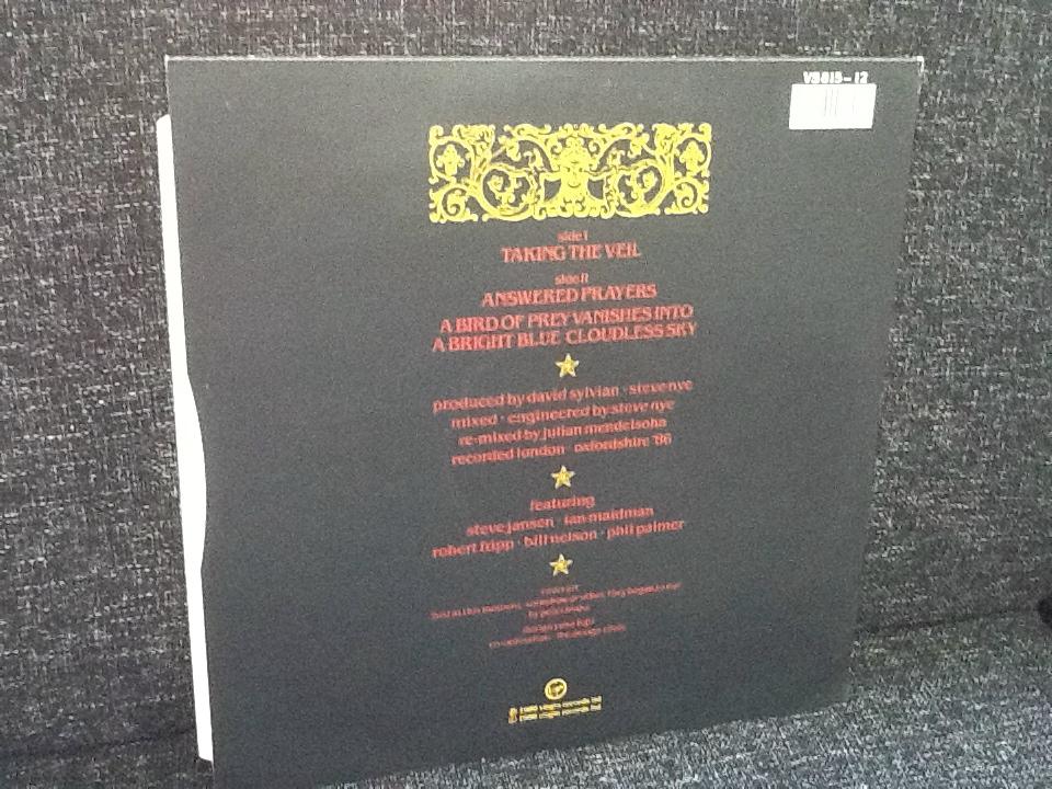 David Sylvian Taking the Veil