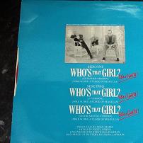 A Flock of Seagulls - Who's That Girl UK 12