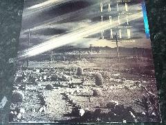 Rain Tree Crow LP Vinyl