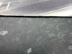 Rain Tree Crow LP Vinyl