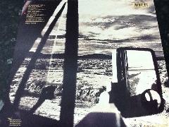 Rain Tree Crow LP Vinyl