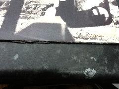 Rain Tree Crow LP Vinyl