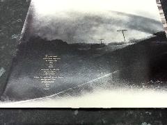 Rain Tree Crow LP Vinyl
