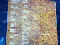 Rain Tree Crow LP Vinyl