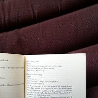 Stanley and Hilda Spencer Book
