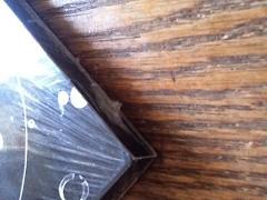 david sylvian camphor cd