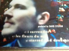 David Sylvian I Surrender UK CD Single