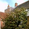 Front of Monk's House, Rodmell,  - April 09