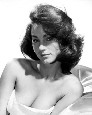 shirley anne field