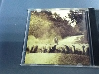 David Sylvian & Holger Czukay Flux & Mutability CD Album